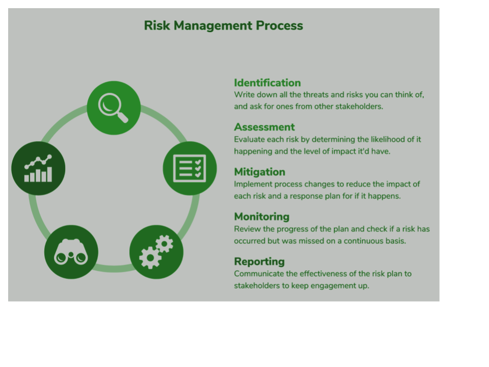 Risk Management Strategy