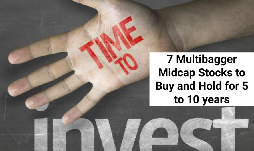 7 Multibagger Midcap Stocks to Buy & Hold for 5 to 10 years