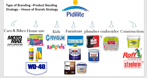 Fundamental Analysis of Pidilite.