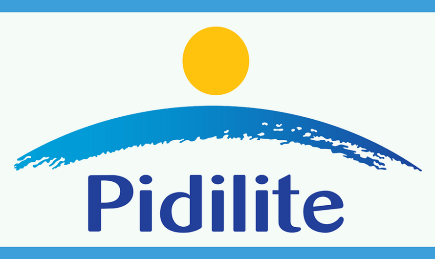 Fundamental Analysis of Pidilite Industries Ltd | Monopoly Future Growth Stock