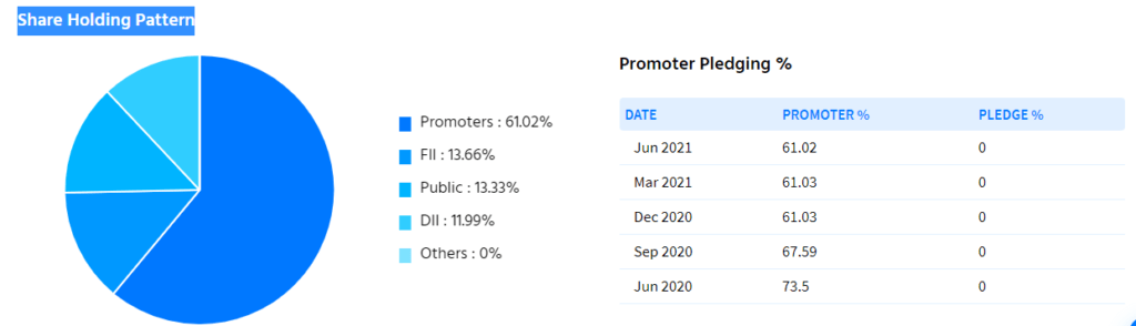 Fundamental Analysis of Mindtree Ltd