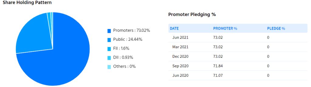 Fundamental Analysis of Trident Ltd